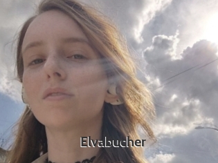 Elvabucher