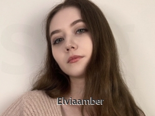 Elviaamber