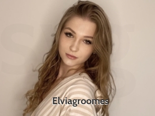 Elviagroomes