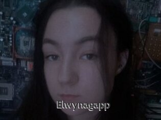 Elwynagapp