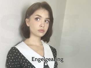 Engelgearing