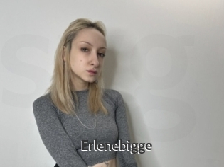 Erlenebigge