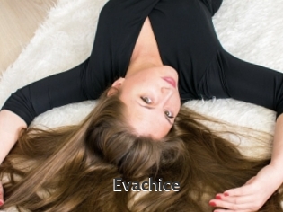 Evachice