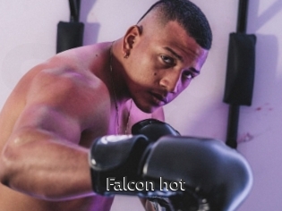 Falcon_hot