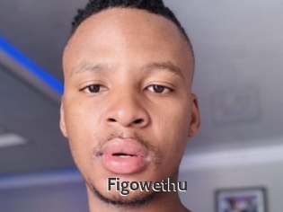 Figowethu