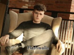 Flashwallis