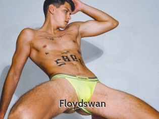 Floydswan