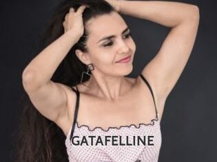 GATAFELLINE