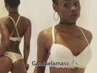 Gatubela_masc