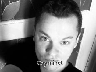 Gayminet