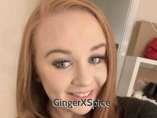 GingerXSpice