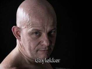 Gaylekker