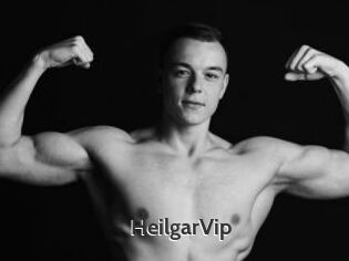 HeilgarVip