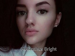 Helianthus_Bright