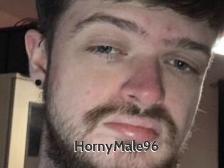 HornyMale96