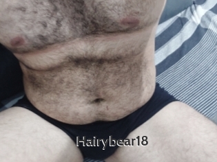 Hairybear18