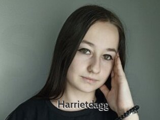 Harrietdagg