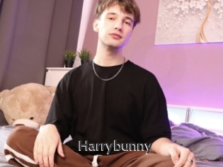 Harrybunny