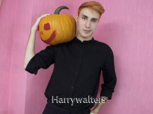 Harrywalters