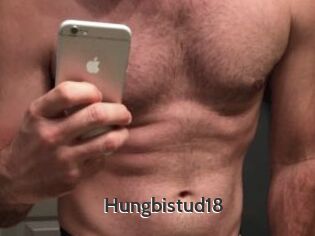 Hungbistud18