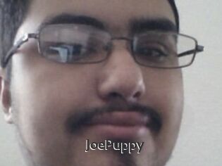 JoePuppy