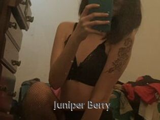 Juniper_Berry