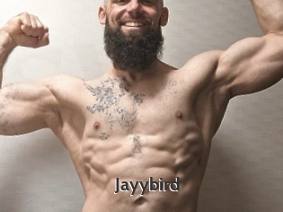 Jayybird