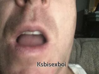 Ksbisexboi