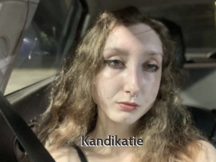 Kandikatie