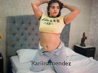 Kariinamendez