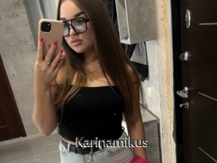 Karinamikus