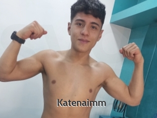 Katenaimm