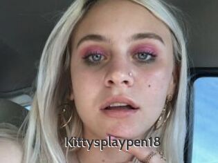 Kittysplaypen18