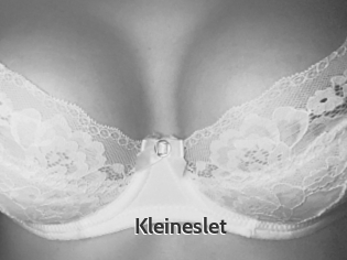 Kleineslet