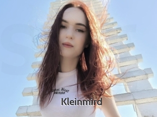 Kleinmird