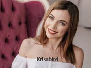 Krissbird