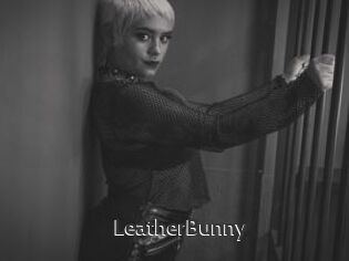 LeatherBunny