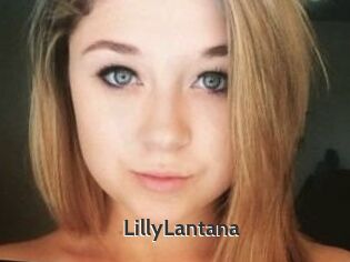 LillyLantana