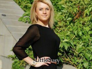 LittleSusy