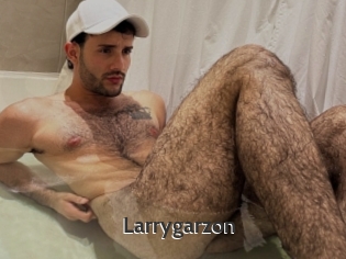 Larrygarzon