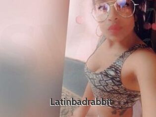 Latinbadrabbit