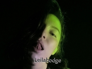 Leilabodge