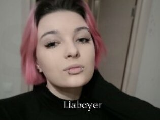 Liaboyer