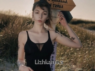 Lizhkamics