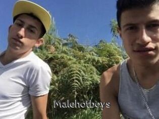 Malehotboys