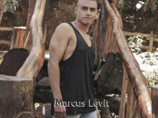 Marcus_Levit