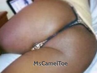 MsCamelToe