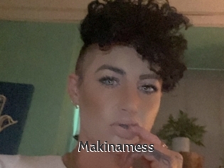 Makinamess