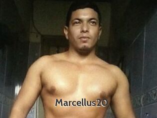 Marcellus20