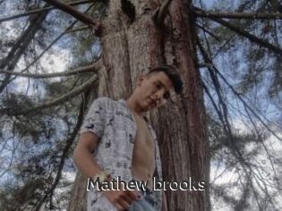 Mathew_brooks